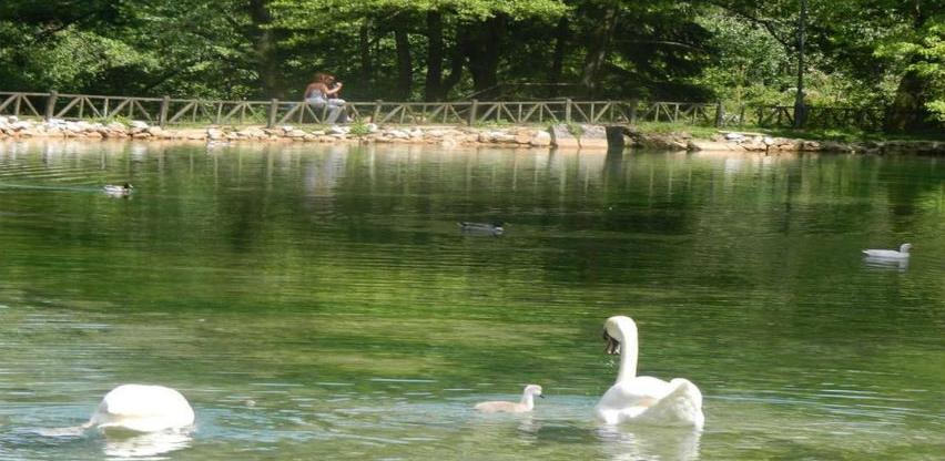 Slika