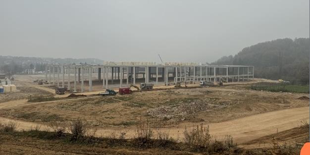 carinski terminal 