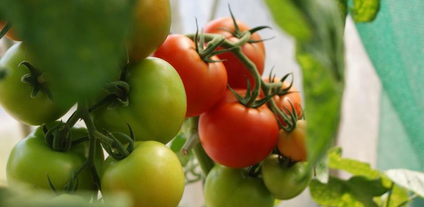 Privrednici očekuju da će ova godina biti teža za poslovanje nego prošla