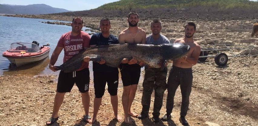 Ukoliko želite loviti brkate nemani, posjetite Bilećko jezero