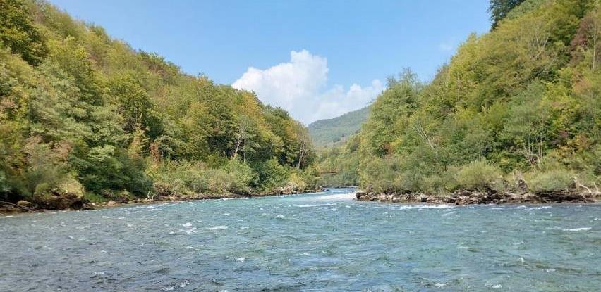 drina