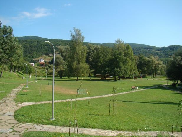 Slika