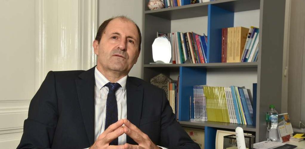 mario nenadić