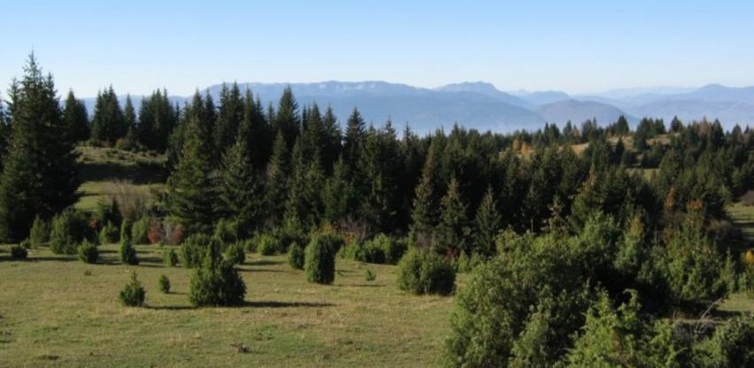 Ustavni sud BiH u naredna dva dana odlučuje o ustavnosti Zakona o šumama RS