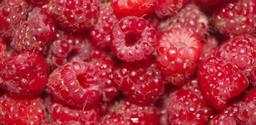 Maline