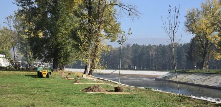 Visoko