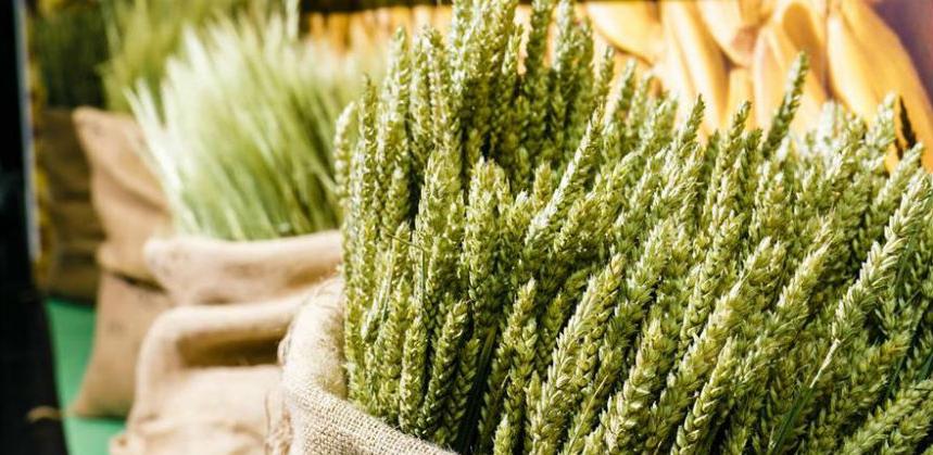 Poziv bh. kompanijama za učešće na BIOFACH 2018