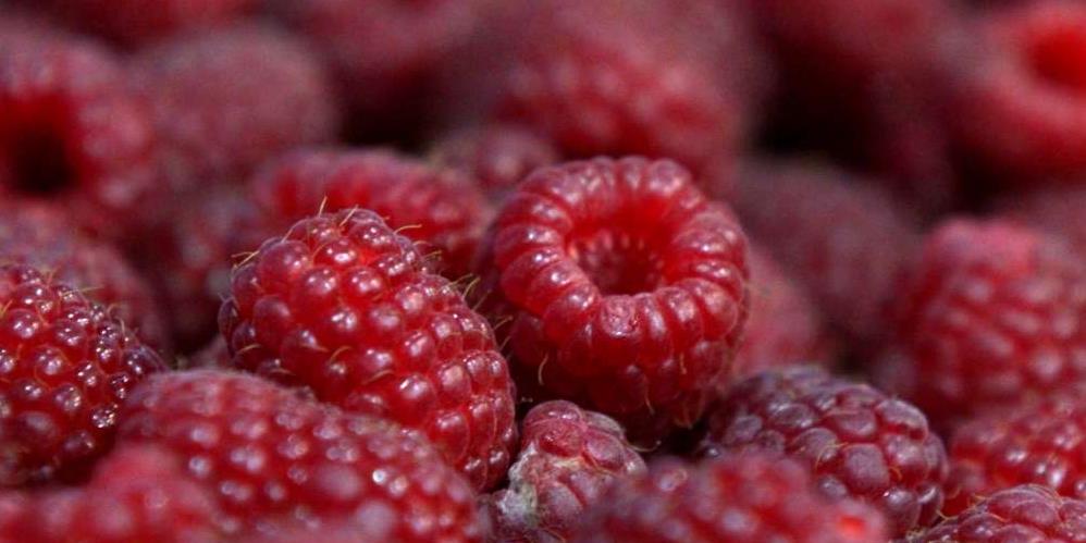 Maline