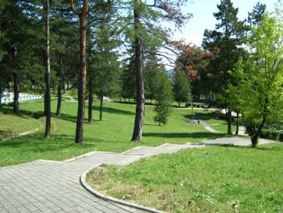 Slika