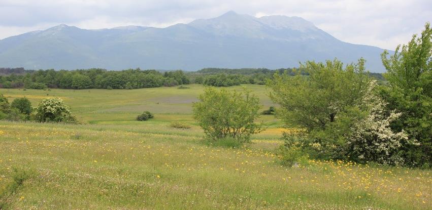 nevesinjsko polje 