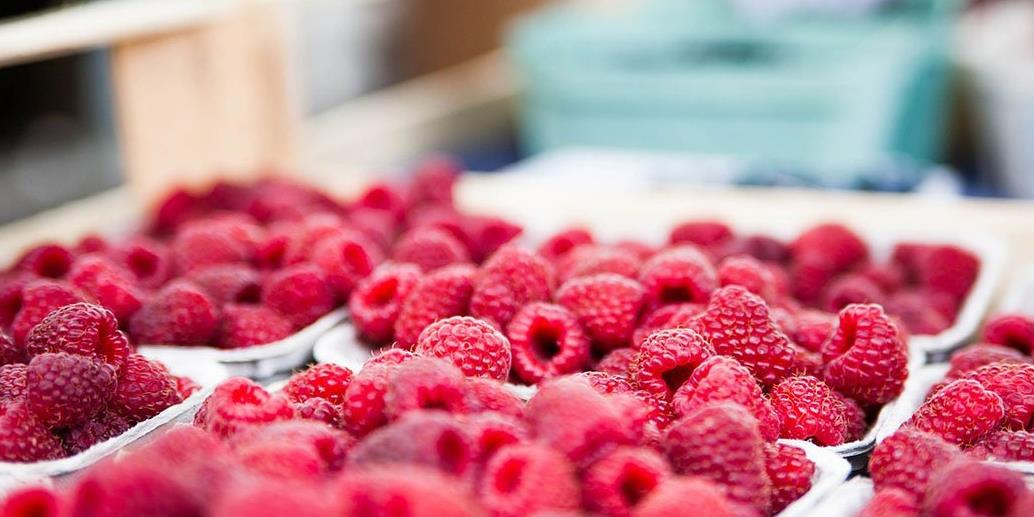 Maline