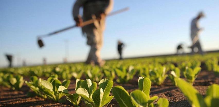 Ekonomsko-socijalno vijeće TK