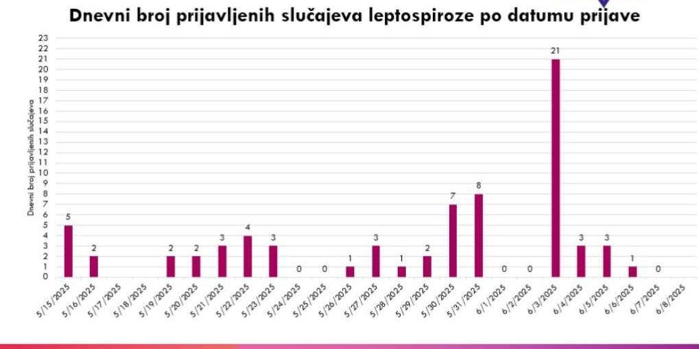 leptospiroza