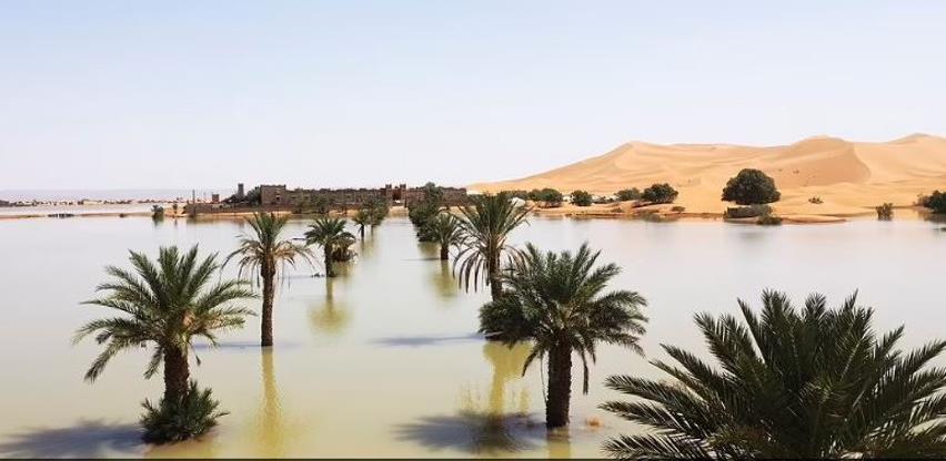 Sahara