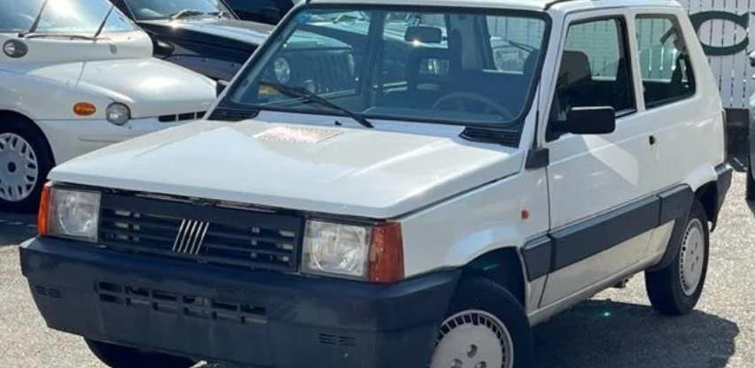 panda