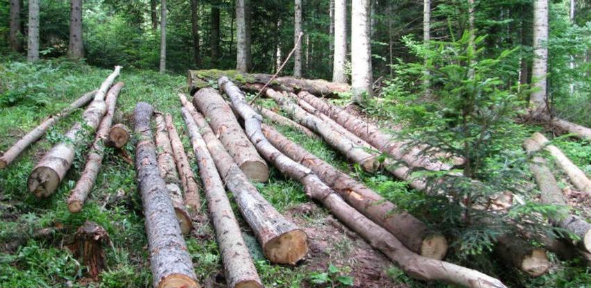 Naknade za šume i građevinsko zemljište trošene za tekuće poslovanje