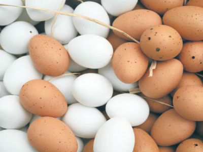 Nakon ovih podataka jaja ćete jesti svaki dan za doručak