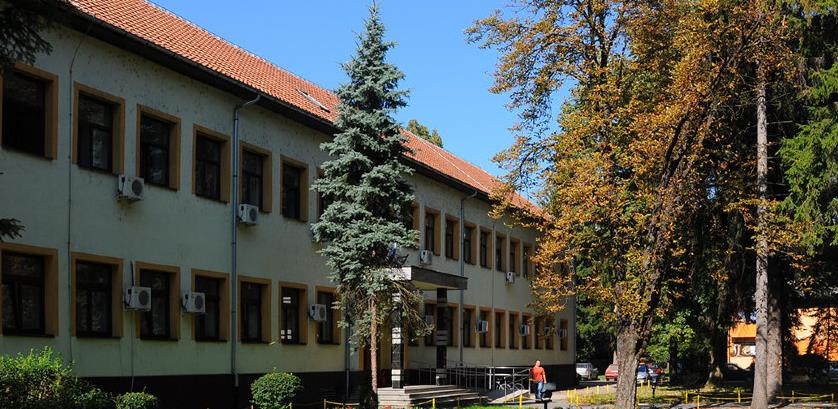 Slika