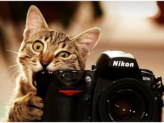 5 savjeta za fotografiranje prirode