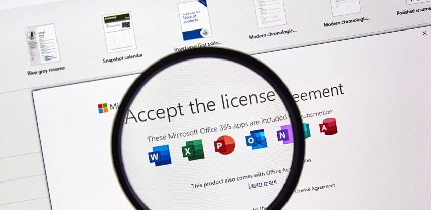 microsoft licence 