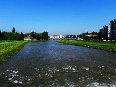Slika