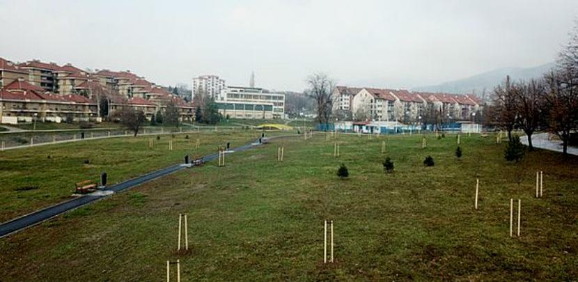 Slika