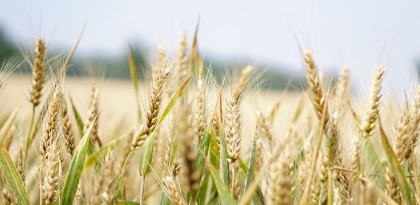 poljoprivredni potsticaji