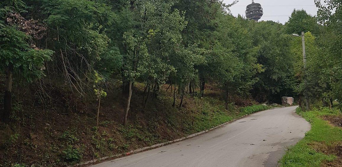 park šume hum