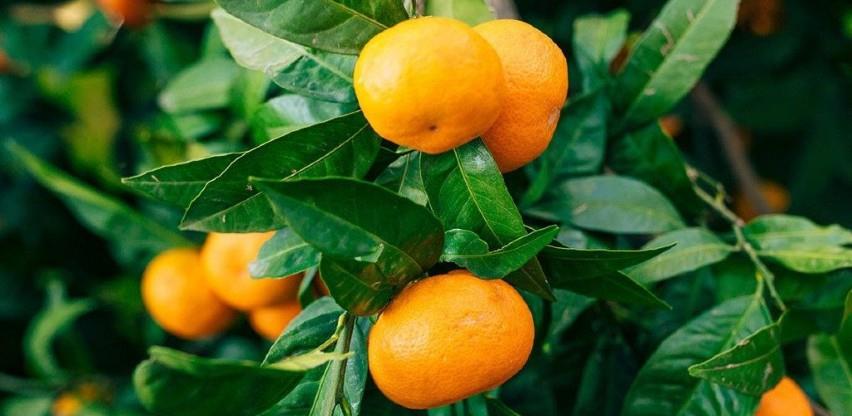 mandarine