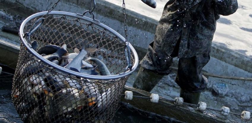 Ministarstvo privrede KS objavilo javni poziv za unapređenje ribarstva