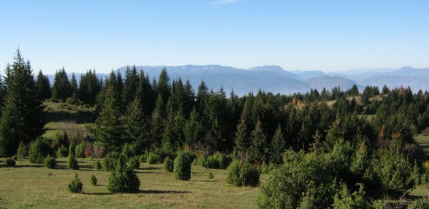 Kazne do 1.500 KM zbog loženja vatre u šumama i njihovoj blizini
