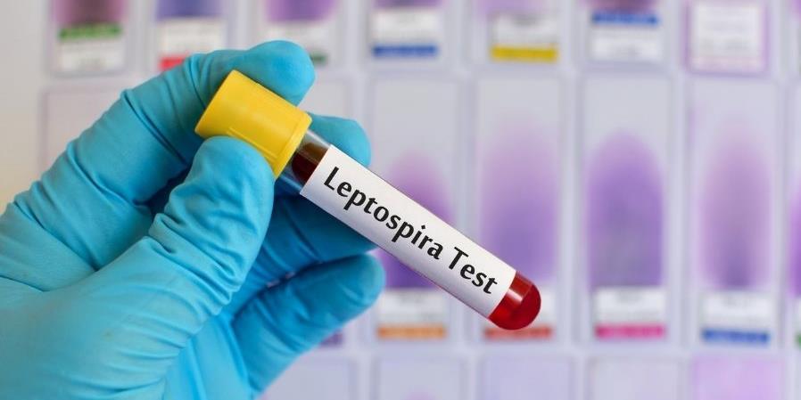 leptospiroza