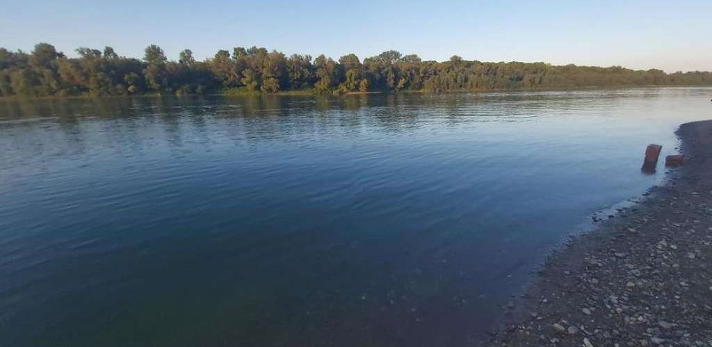 Sava