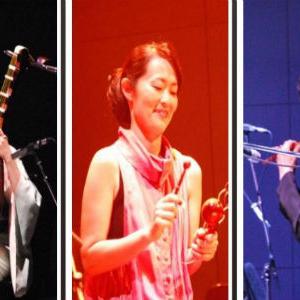 Koncert tradicionalne japanske muzike grupe B-come ''Sjećanje na Jadranku''