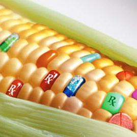 Obuka o provođenju zakonodavstva EU iz oblasti GMO