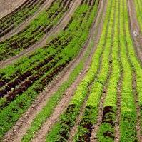 FARMA: Sastanak u vezi Poziva za podnošenje projektnih prijedloga