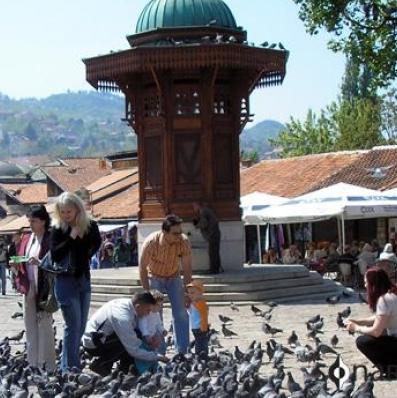 Golubovi kod Sebilja: Turistička atrakcija ili opasnost po zdravlje ljudi?