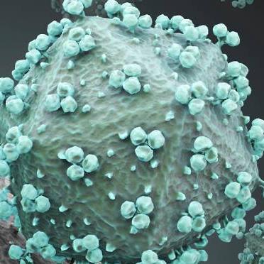Virus oživio nakon 30.000 godina u ledu