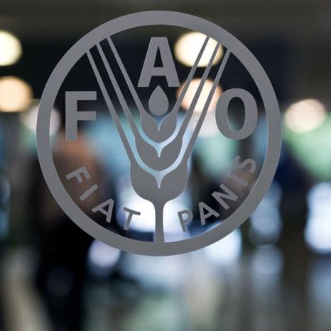 Regionalna konferencija UN FAO u Bukureštu