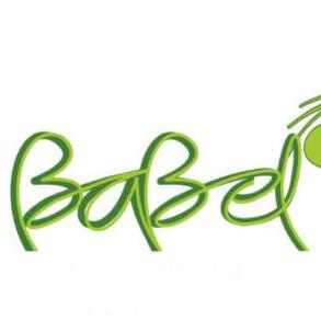 Babel seminar: Kako rade komisije za javne nabavke