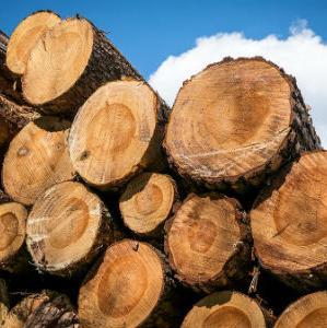 Drvna industrija "Sanica" spremna za pokretanje proizvodnje