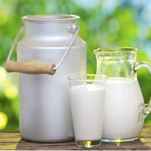 Za šest mjeseci isporučeno 950.180 litara mlijeka