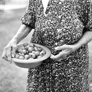 Fotografija sedmice: U prošlim danima - autor Edin Gačan