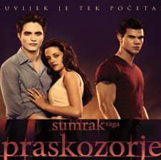 Slika