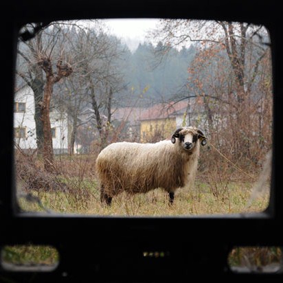 Fotografija sedmice: TV danas - autor Denis Ruvić