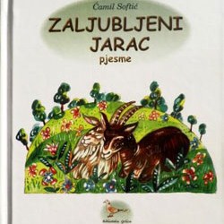 Slika
