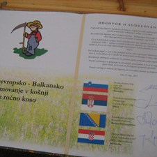 Balkanski kup u ručnom košenju trave: BiH najbolja u Srednjoj Evropi i Balkanu