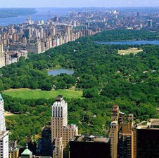 New York najuljuđeniji grad na svijetu