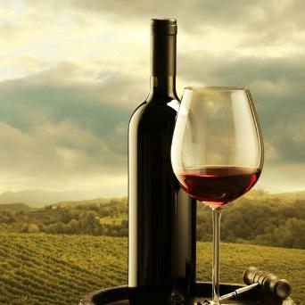 Seminar: Moderne tehnologije u proizvodnji vina i Marketing vina