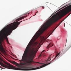Slovenija "ukrala" Hrvatskoj vino teran